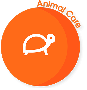 animal care pathway